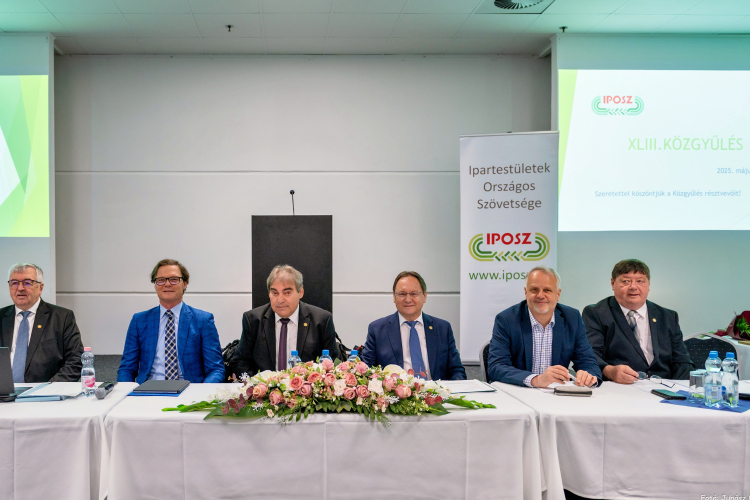 Új korszak elé néz a magyar kisipar